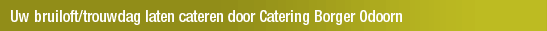 Uw bruiloft/trouwdag laten cateren door Catering Borger Odoorn